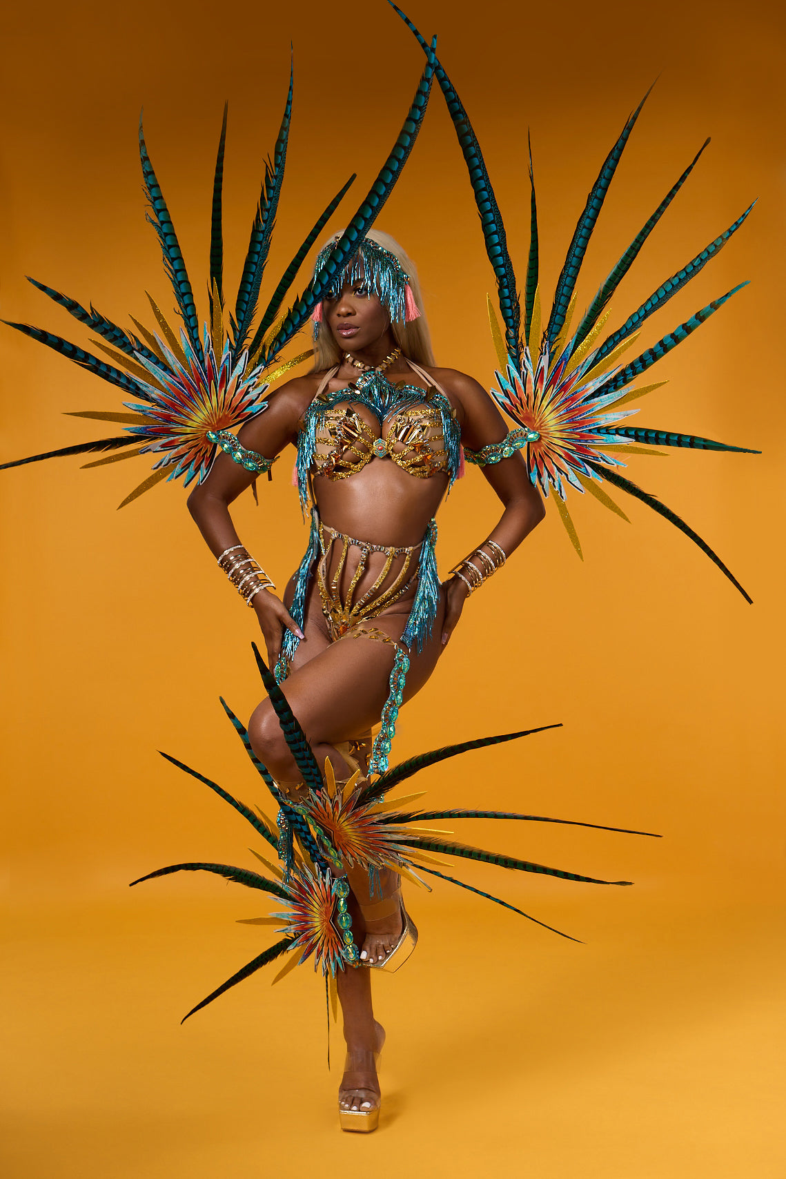 Repasado Glam Wire Bra with Feathered Arms & Legs